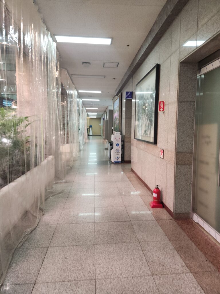 서울시 은평구 증산동 입주청소 이사청소 비용 무료 견적 저렴하고 잘하는 곳 추천: 스팅거클린 리뷰