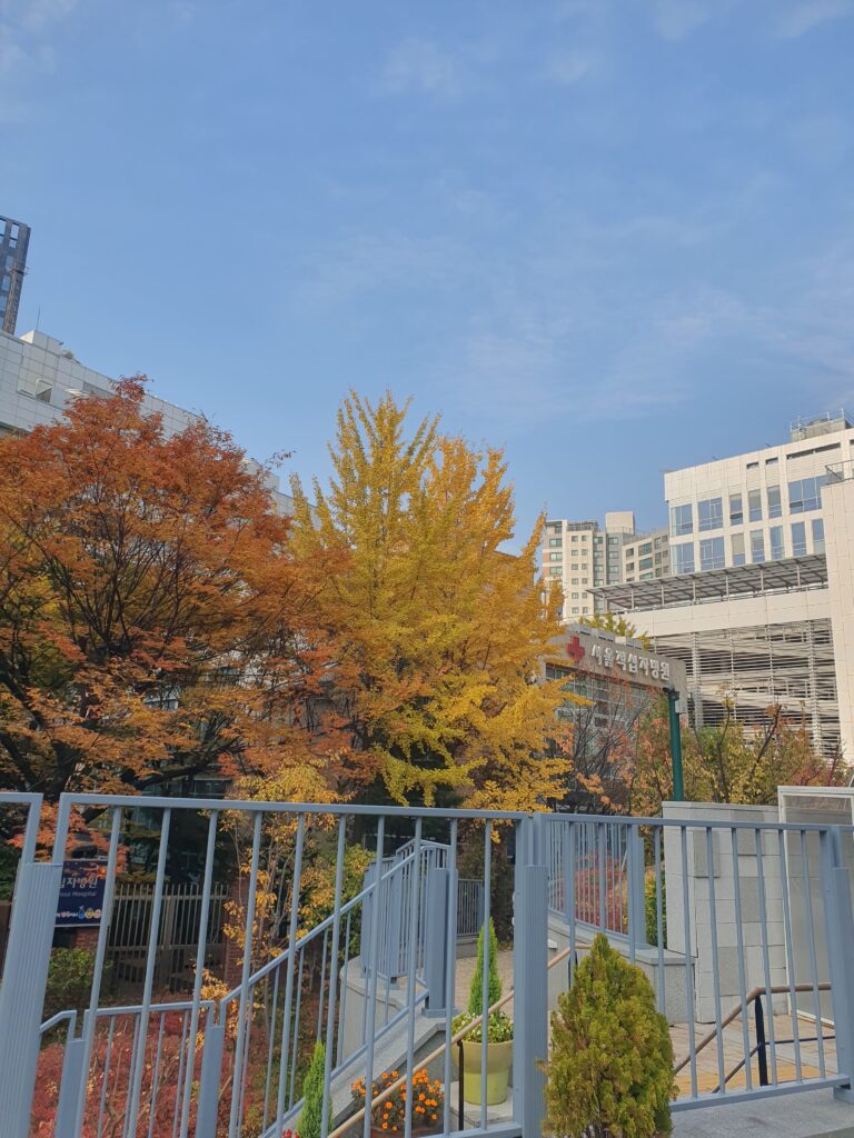 서울시 성북구 길음동 입주청소 이사청소 비용 무료 견적 저렴하고 잘하는 곳 추천