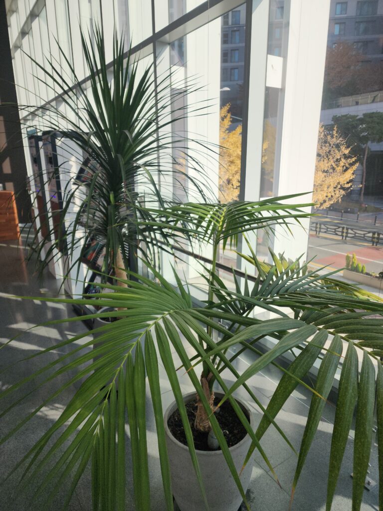 식당청소 저렴하고 잘하는 청소업체: 스팅거클린의 특별한 서비스