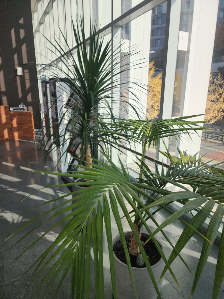 학교청소 저렴하고 잘하는 청소업체: 고품질 서비스의 비결