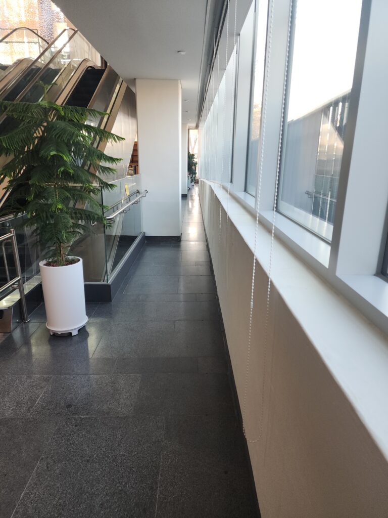 특수청소 저렴한 청소업체: 최고의 서비스 활용법