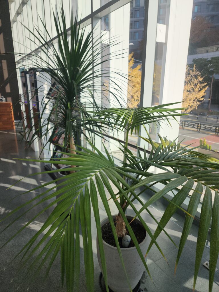 포천시 영북면 입주청소 이사청소 비용 무료 견적 저렴하고 잘하는 곳 추천 완벽가이드