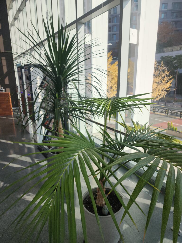 용인시 처인구 이동읍 입주청소 이사청소 비용 무료 견적 저렴하고 잘하는 곳 추천 완벽가이드