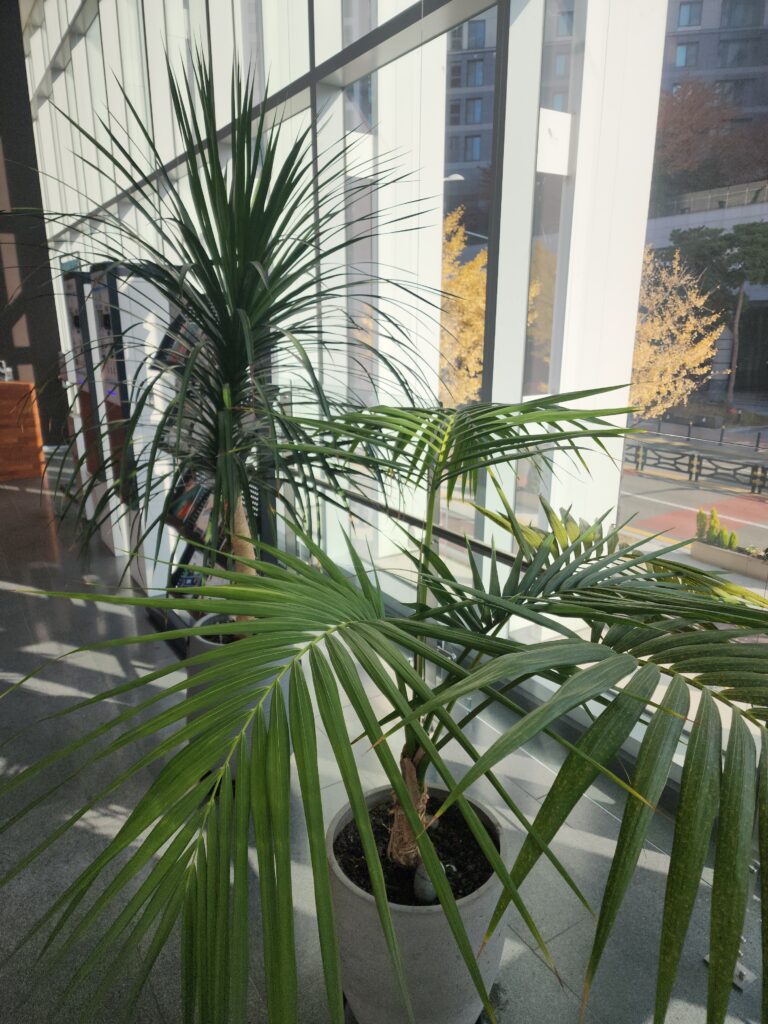 파주시 광탄면 입주청소 이사청소 비용 무료 견적 저렴하고 잘하는 곳 추천 완벽가이드