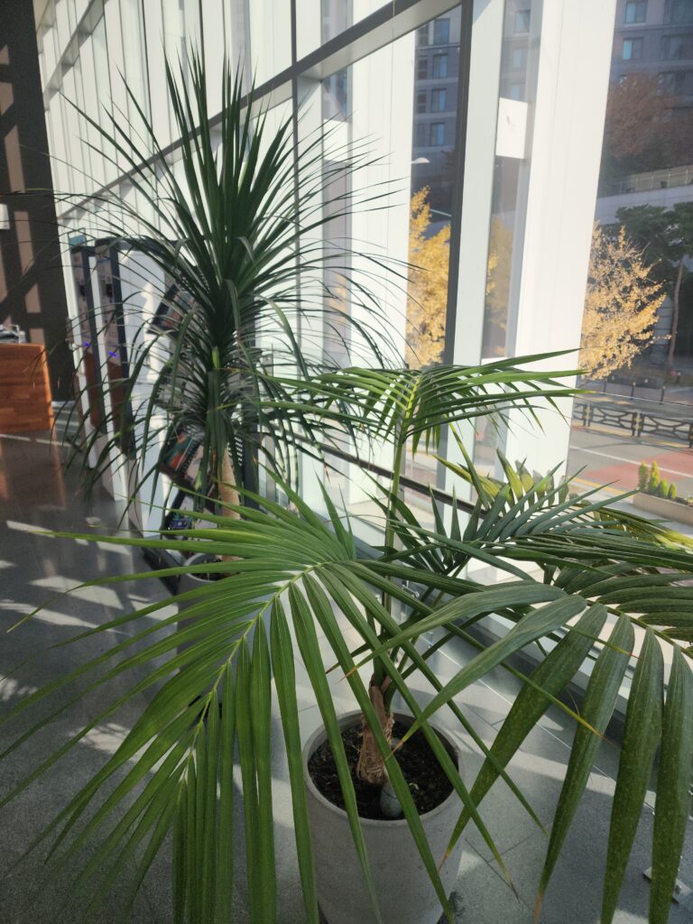 과천시 중앙동 입주청소 이사청소 비용 무료 견적 저렴하고 잘하는 곳 추천 완벽가이드: 전문가가 알려주는 활용법