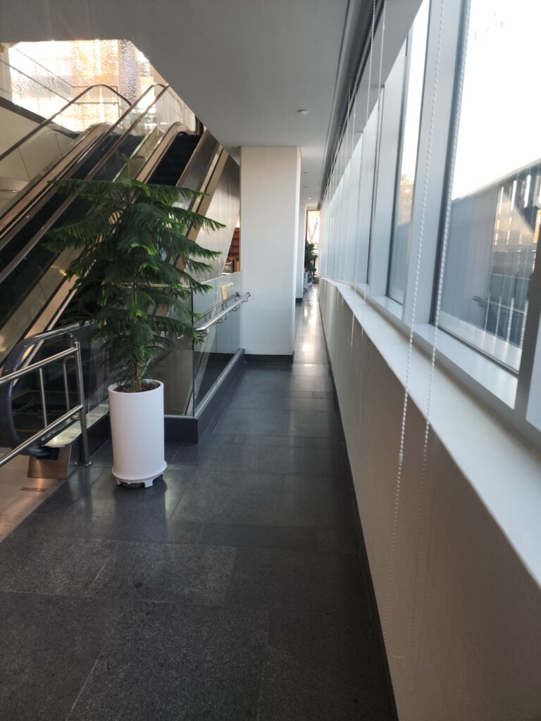 고양시 일산 서구 가좌동 입주청소 이사청소 비용 무료 견적 저렴하고 잘하는 곳 추천: 스팅거클린의 완벽한 선택