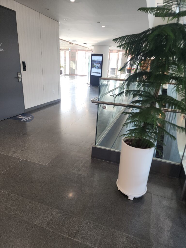 일반이사청소 저렴하고 잘하는 청소업체: 거주청소부터 사무실청소까지 완벽가이드